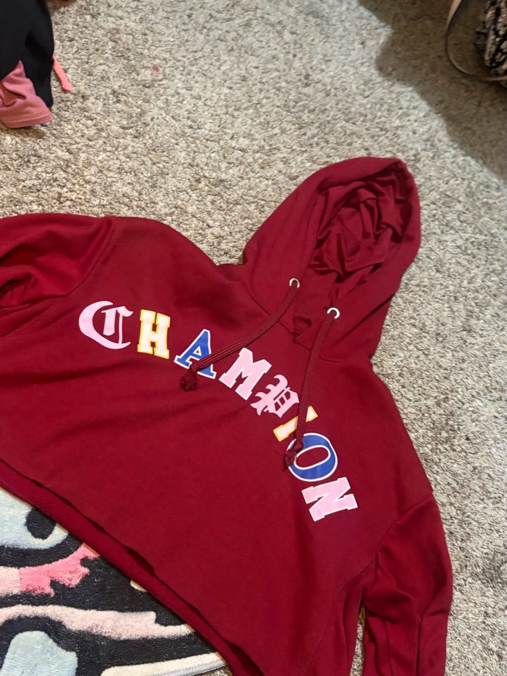 Champion Burgundy Hooded Sweatshirt with Multicolor Logo
